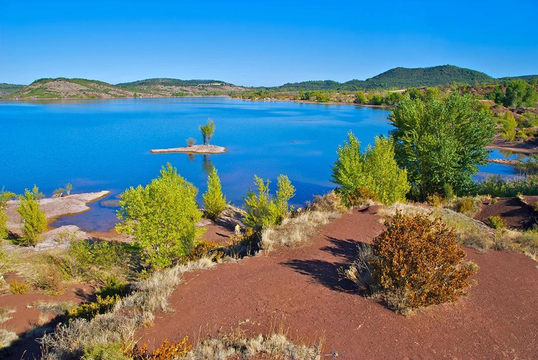 Magnifique Villa Typique Du Sud Avec Piscine Privee Et Jardin Mediterraneen Saint-Vincent-de-Barbeyrargues Dış mekan fotoğraf